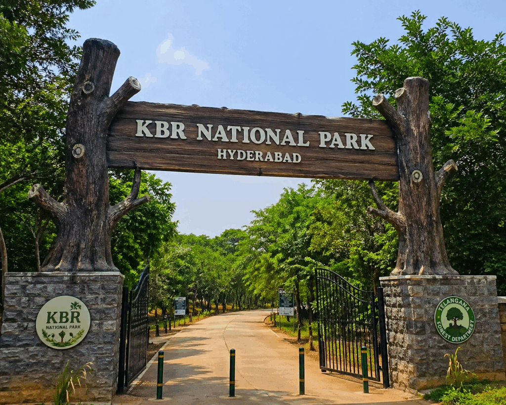 Morning walk trail in KBR National Park with dense trees and fresh air