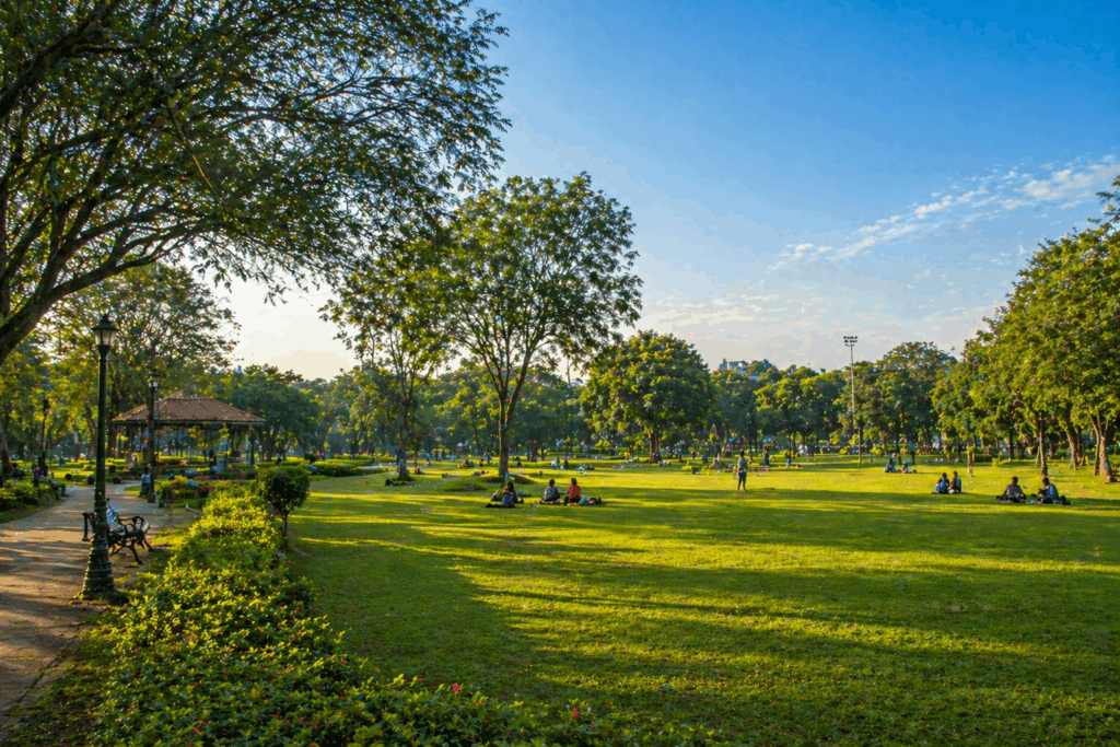 Sanjeevaiah Park wide open lawns with fresh air near the lake