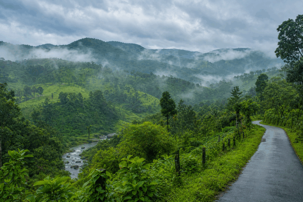 Sakleshpur green landscapes with forests and hills